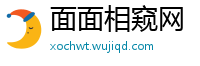 面面相窥网